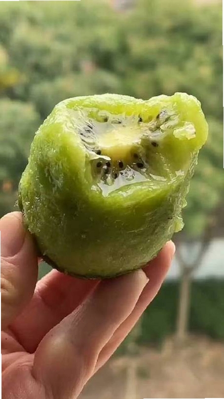 辰颐物语运行截图