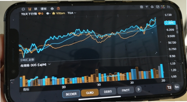 T0汇天下行情图表展示界面,展示分时走势与成交量柱状图,图表线条为亮蓝色与橙色,背景深灰,数据标签清晰,界面下方有指标切换按钮,手机屏幕特写,模拟真实交易时段画面,画面写实,光线自然