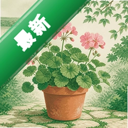 花园小院v1.0.1 庭院装扮