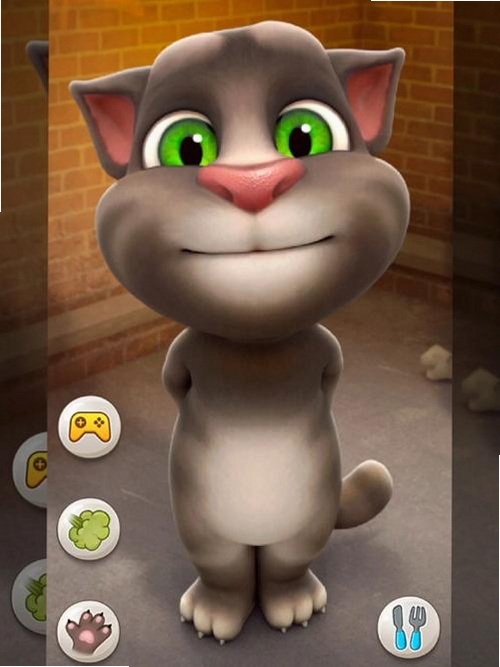 会说话的汤姆猫运行截图