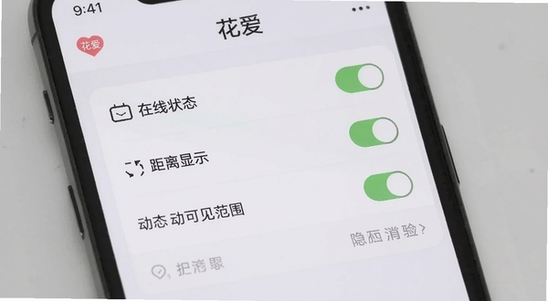 花爱隐私设置页面展示图,手机屏幕显示花爱APP的隐私权限开关列表,包括在线状态、距离显示、动态可见范围等选项,背景为淡灰色极简风格,突出功能清晰易操作