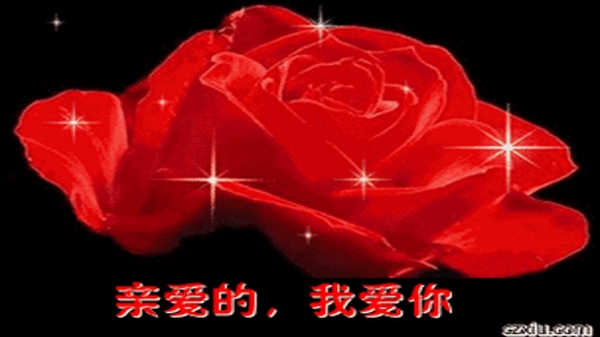 花爱动态广场界面截图
