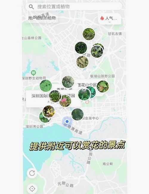 花爱运行截图