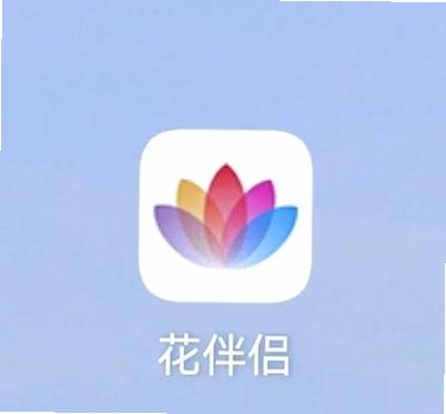 花爱运行截图