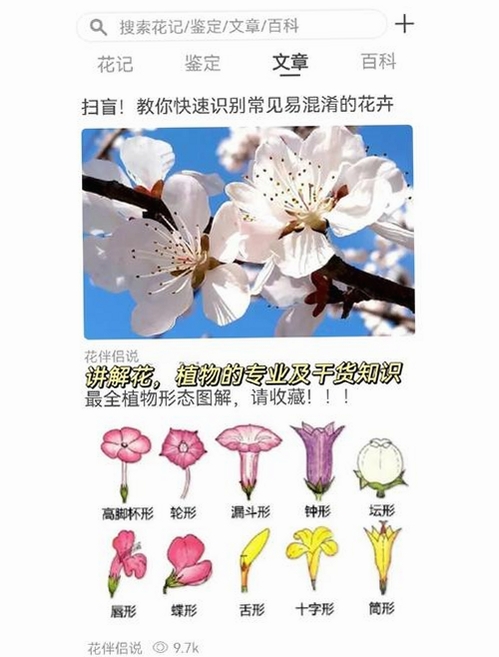 花爱运行截图
