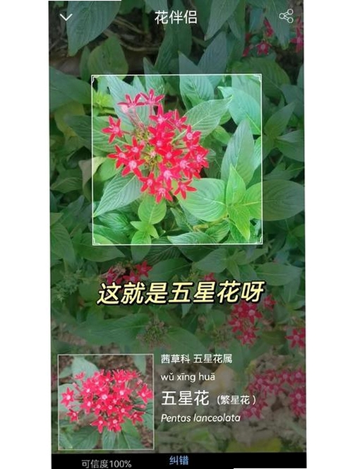 花爱运行截图