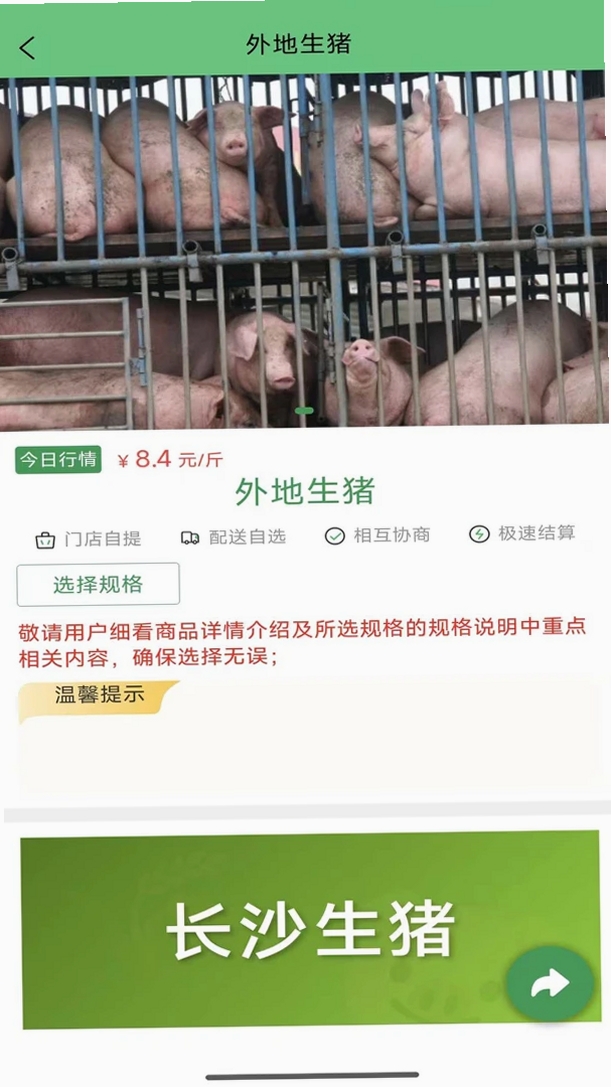 白交易系统运行截图