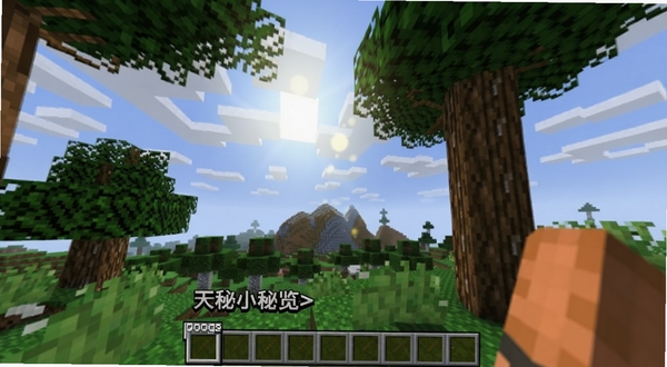 我的世界秘制小材质游戏主界面展示,画面中央为像素风格方块世界,阳光穿过树叶形成光斑,背景为蓝天白云与远处山脉,整体色调清新明亮,适配Boogu模型生成,alt=我的世界秘制小材质预览图