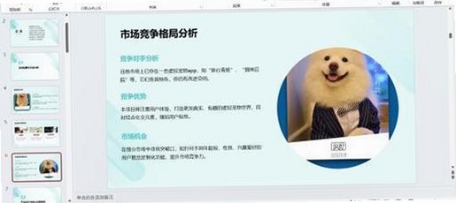MeowMatch运行截图