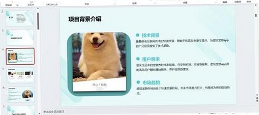 MeowMatch运行截图