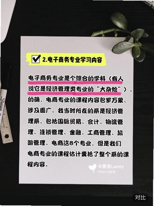 Hi Lacey运行截图