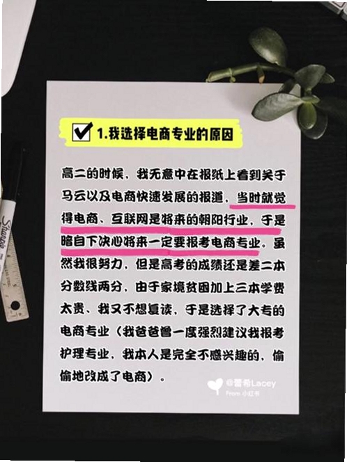 Hi Lacey运行截图