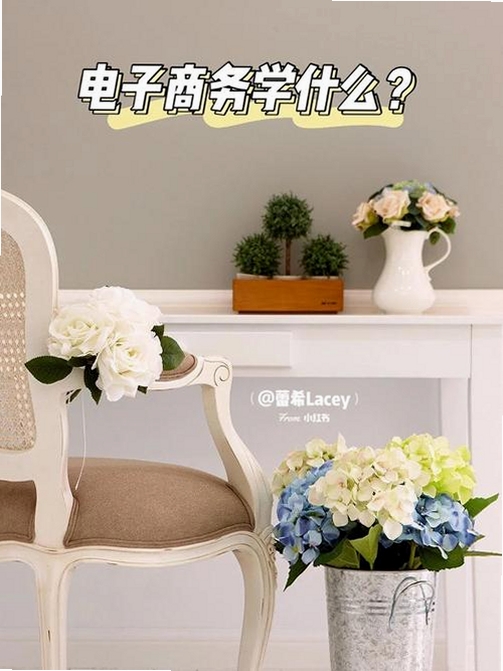 Hi Lacey运行截图
