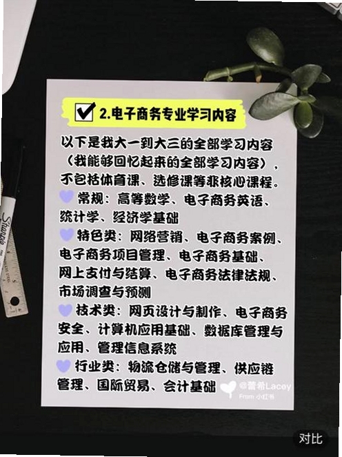 Hi Lacey运行截图