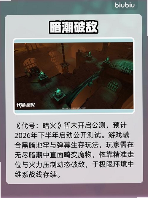 代号:暗火运行截图
