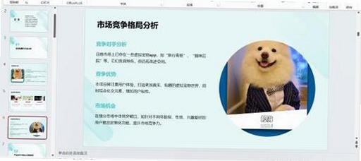 MeowMatch运行截图