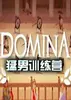 ����ѵ��ӪDomina pc��ͼ��