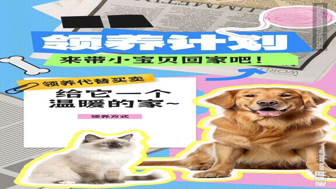 ���ż���-�ȳ轻�� ����������Ϣ ͬ������è�乷��