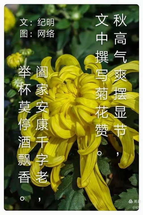 小草飘香香TV运行截图