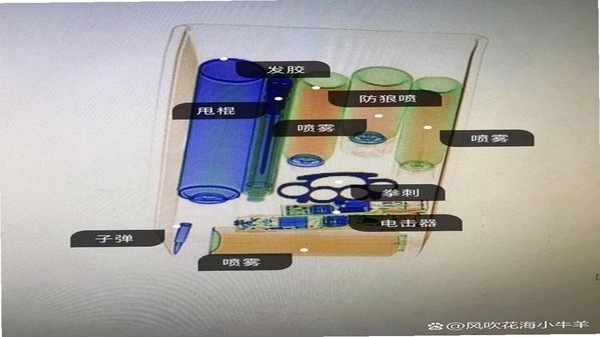 安检模拟器2违禁品识别攻略
