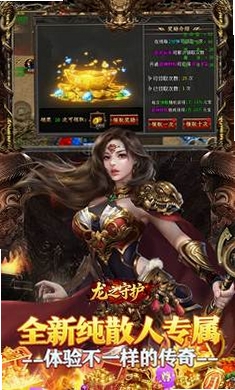 龙之守护运行截图