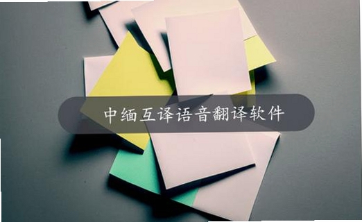缅甸语翻译通运行截图