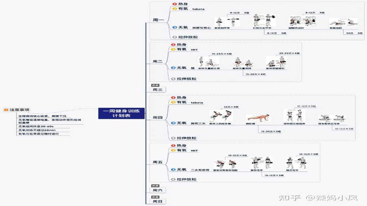 健身时刻 全天燃脂训练时间安排表 上班族锻炼计划