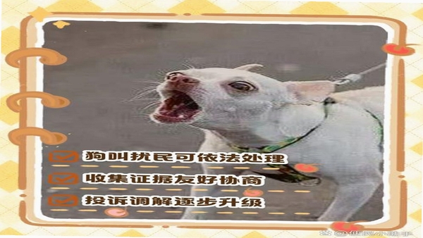 ����С�� �û����� ����