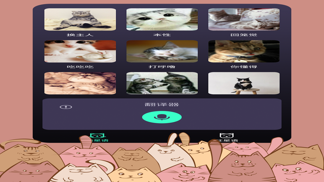 猫咪翻译官 猫语翻译准确率测试 人猫对话