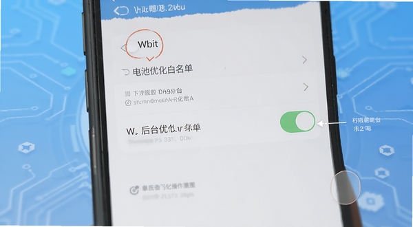 Wbit Ȩ���������̨�Ż�����ʾ��ͼ������չʾ�ֻ����ý�����Wbit�ĵ���Ż����������أ�����Ϊ���ĿƼ������ɫ���䣬ͻ�����������������