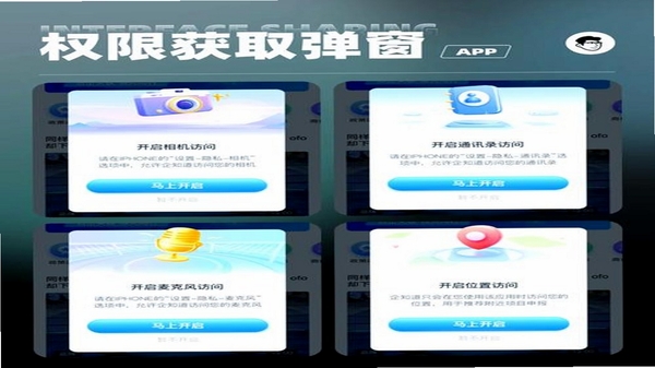 译蛙ai 安装权限设置界面