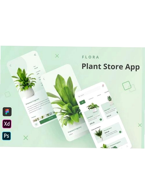美丽花运行截图