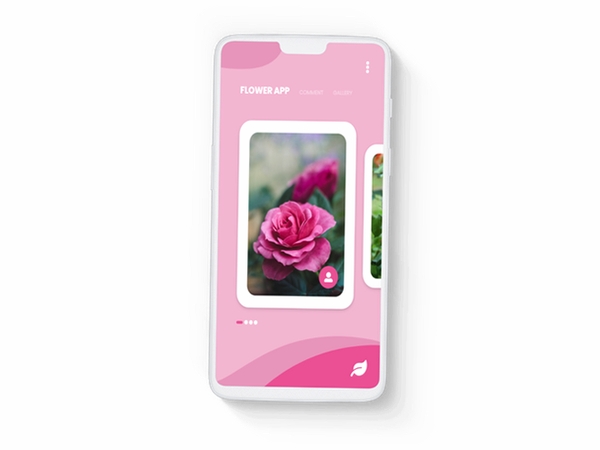 美丽花运行截图