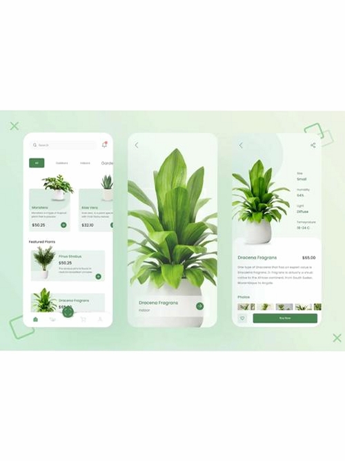 美丽花运行截图