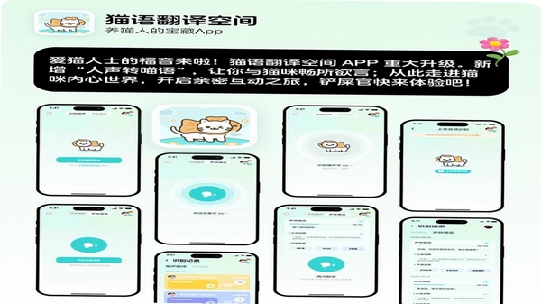 猫语翻译空间 安装权限设置教程