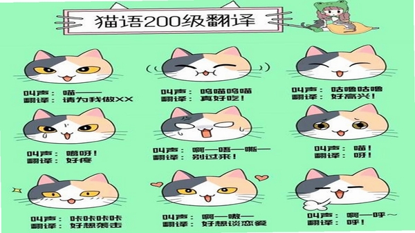 猫语翻译空间 猫咪叫声翻译界面