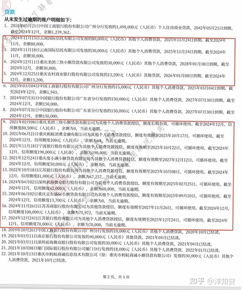 贷查查运行截图