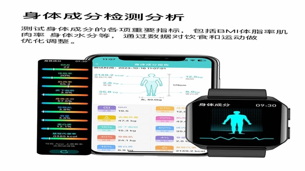 随身健康仪 界面截图