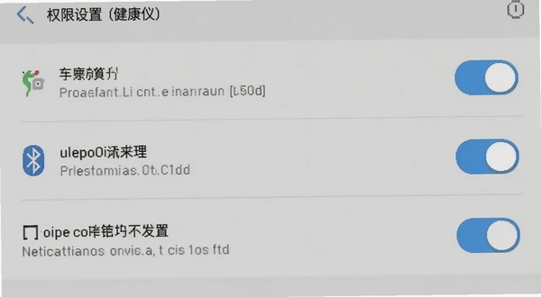 随身健康仪在安卓手机上的权限设置界面截图风格,显示存储、蓝牙、通知三个权限开关,背景是手机设置页面的浅灰色调,画面干净清晰
