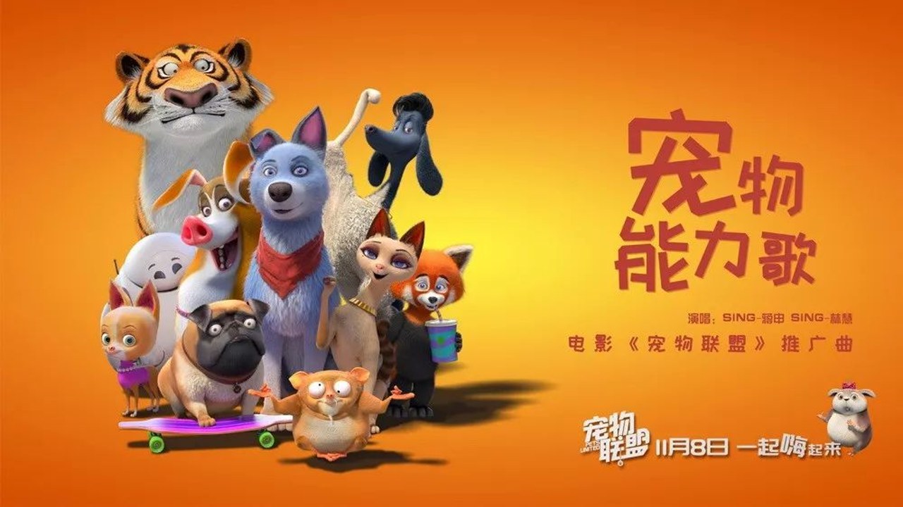 萌宠天团 高颜值小可爱 爆笑日常 猫狗合集 封面图