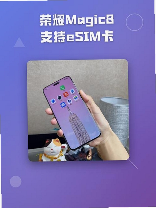 GlocalMe eSIM运行截图