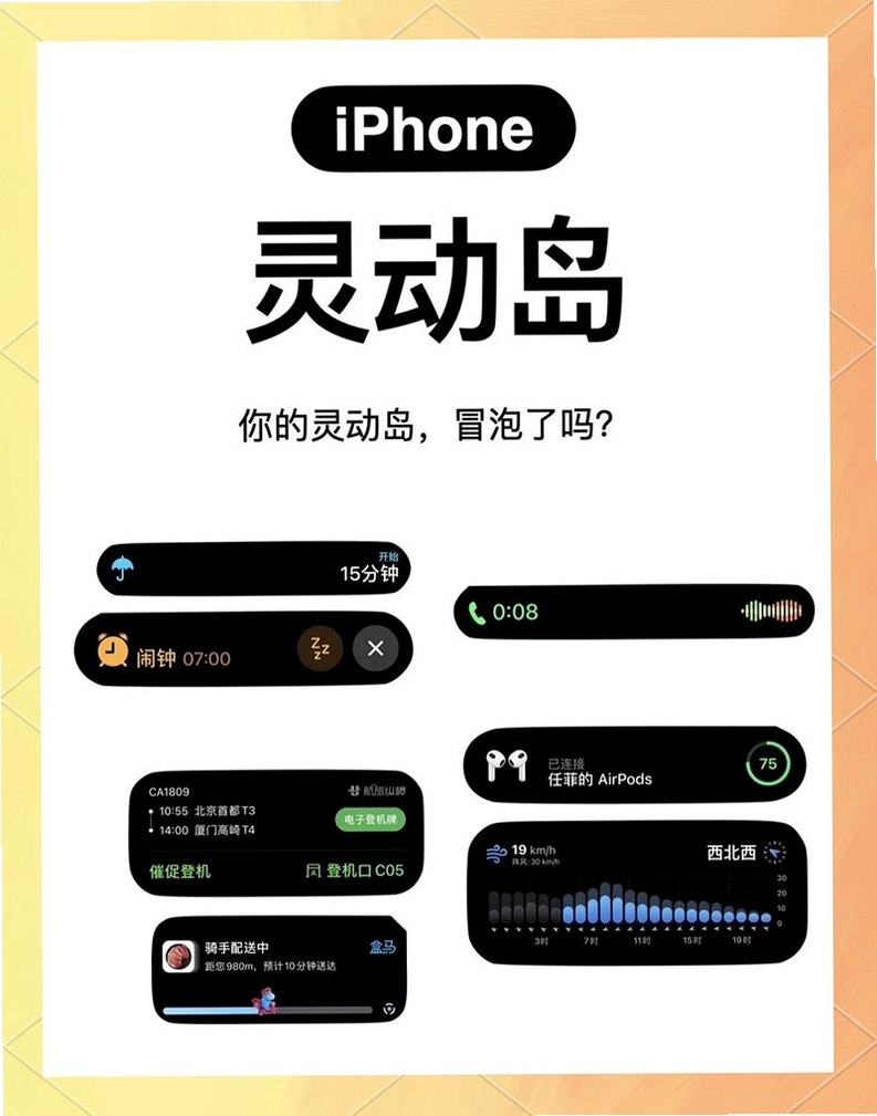 灵动岛运行截图