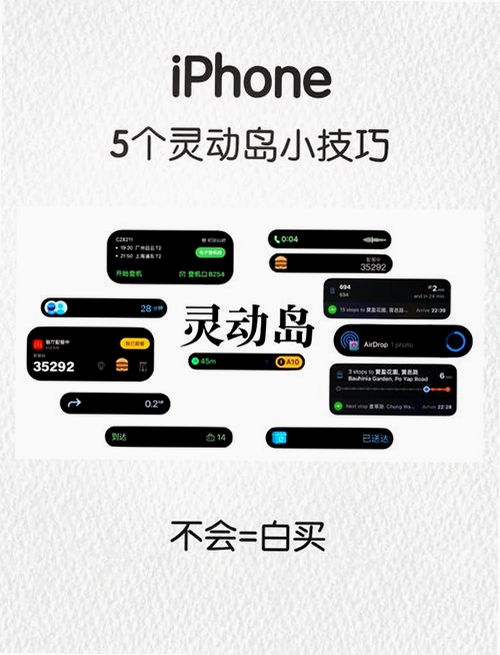 灵动岛运行截图