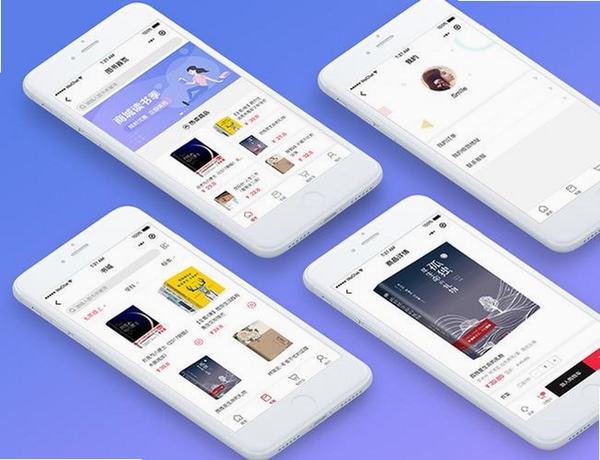 柴可里斯特运行截图