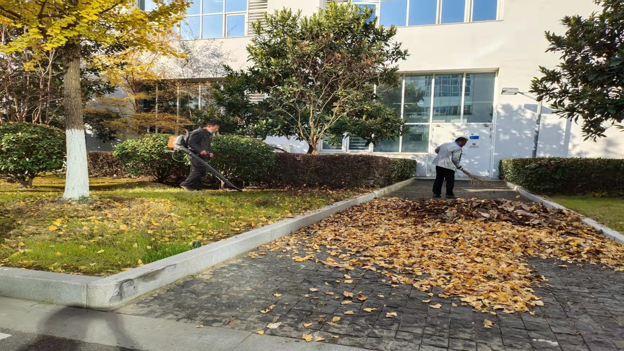落叶清理 清扫顺序 下水口背风角装袋 秋季庭院保洁