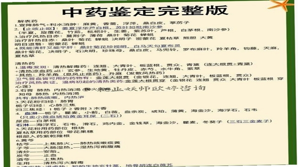 杏林众聚 药材知识界面