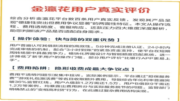 实时金 用户评价与使用体验
