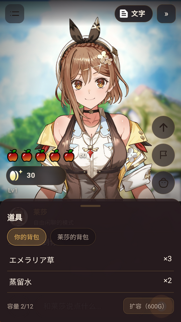 莱莎AI官方正版运行截图
