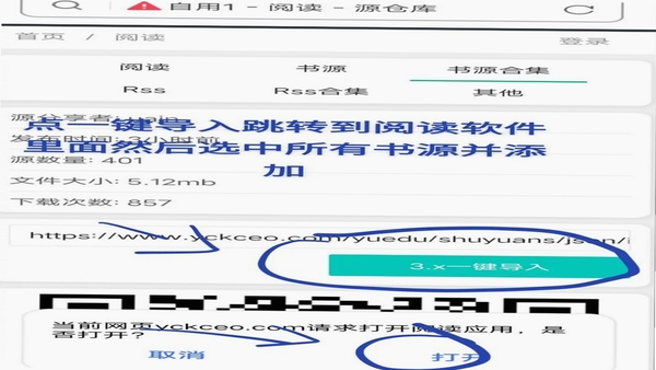 枫叶阅读 书源导入失败解决办法