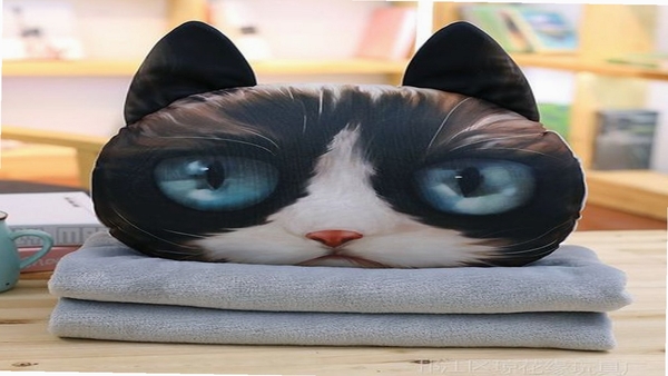 ��������һ��ƽ������ ��װ�̳�